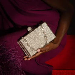 Flash Sale Sophia Webster Clara Bijou Bag